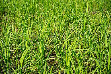 《古墓丽影三部曲重制版》为Embracer带来商业成功